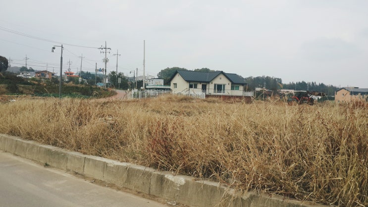  그냥찍음