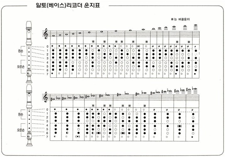 알토리코더 운지법
