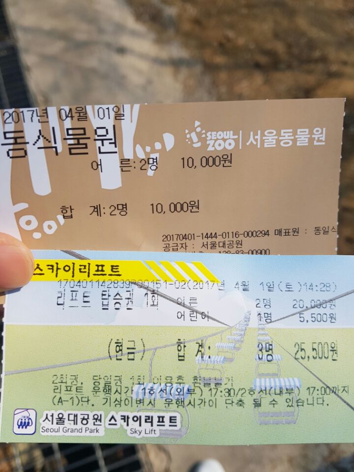  서울대공원 방문 후기와 이용팁-동물원 재개장!