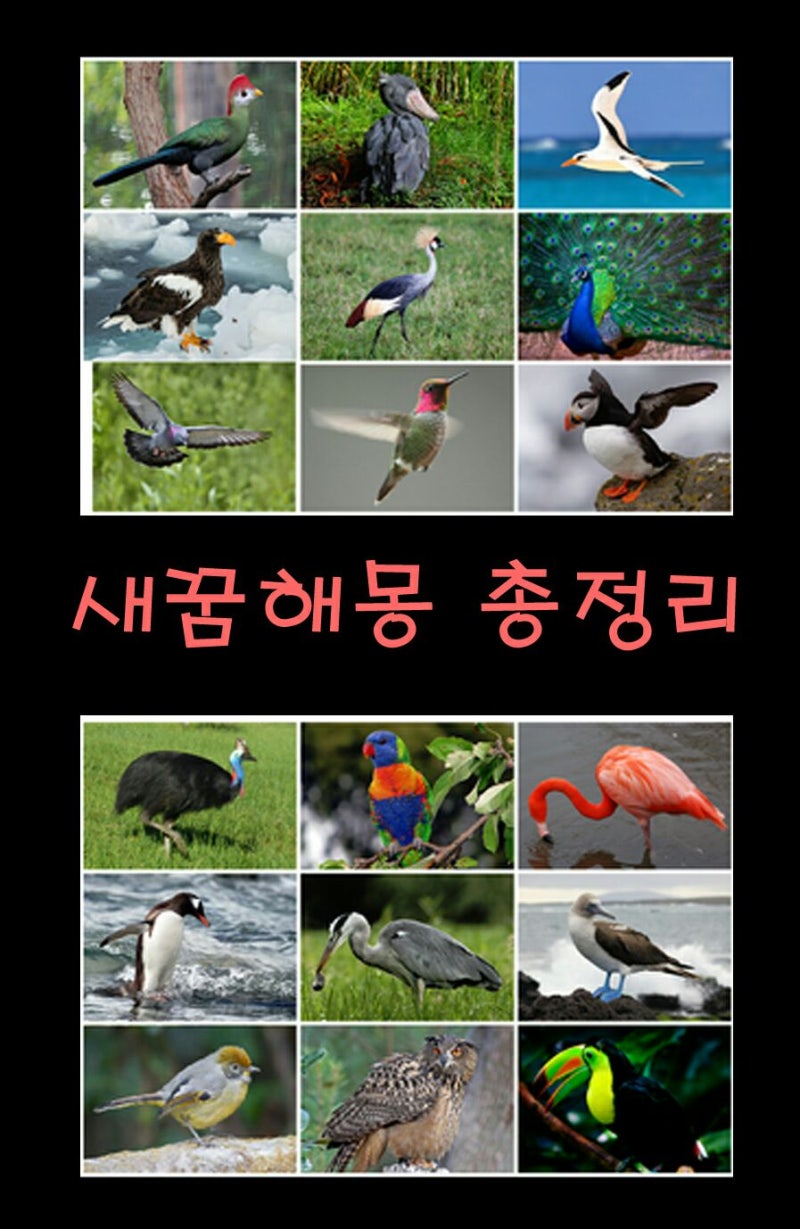 이사의 꿈 이사의 꿈 새집 큰집으로 이사하는 꿈 꿈 꿈 꿈 꿈 꿈 꿈 꿈 꿈꿈
