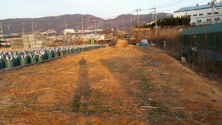  변화