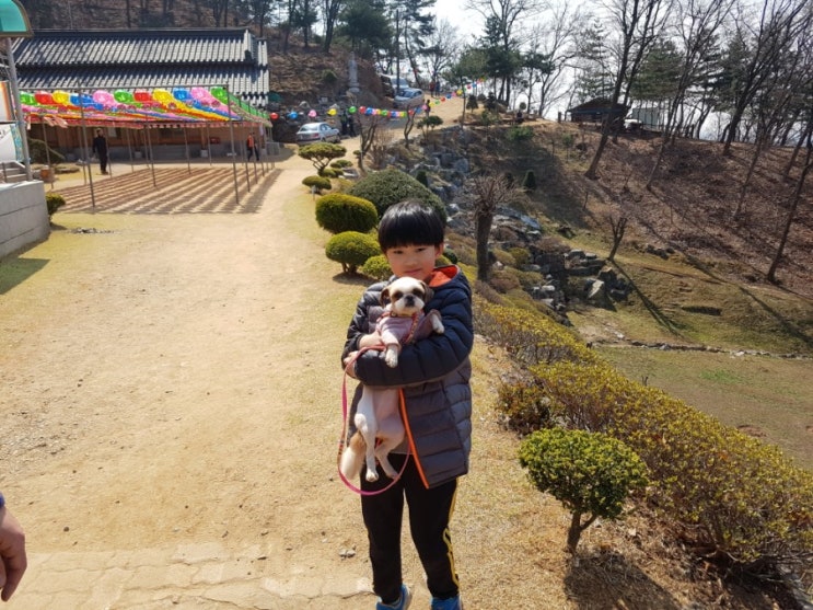  주말 아침 산책 고봉산 올라가자!!!