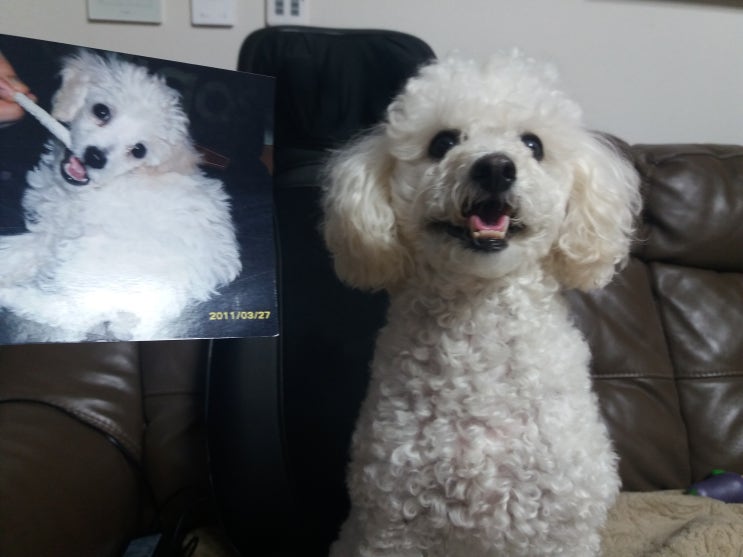  세상에서 가장 귀여운 동물은?