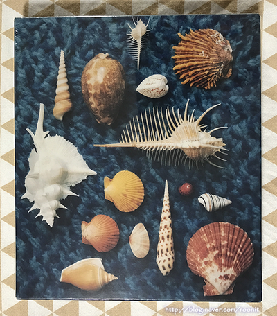 IMG_1205.png?type=w420