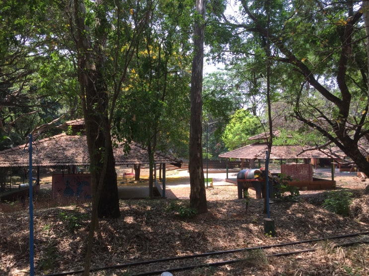  [방문기] 커번파크(Cubbon Park) - 2