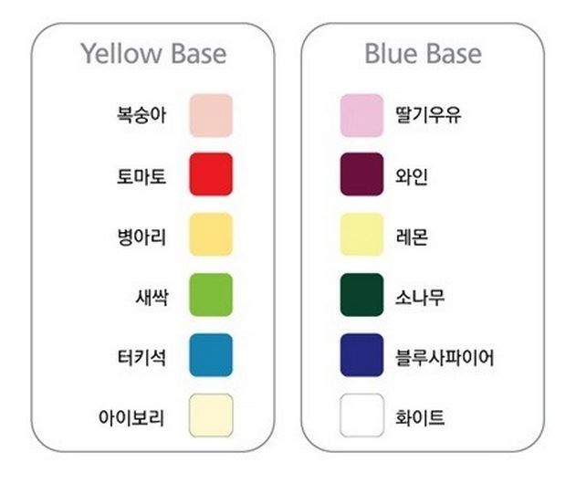  쿨톤 웜톤 구별
