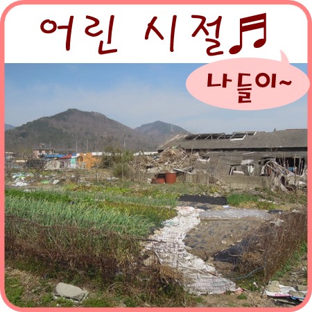  초등학생 시절 자랐던 추억의 시골거리 탐방