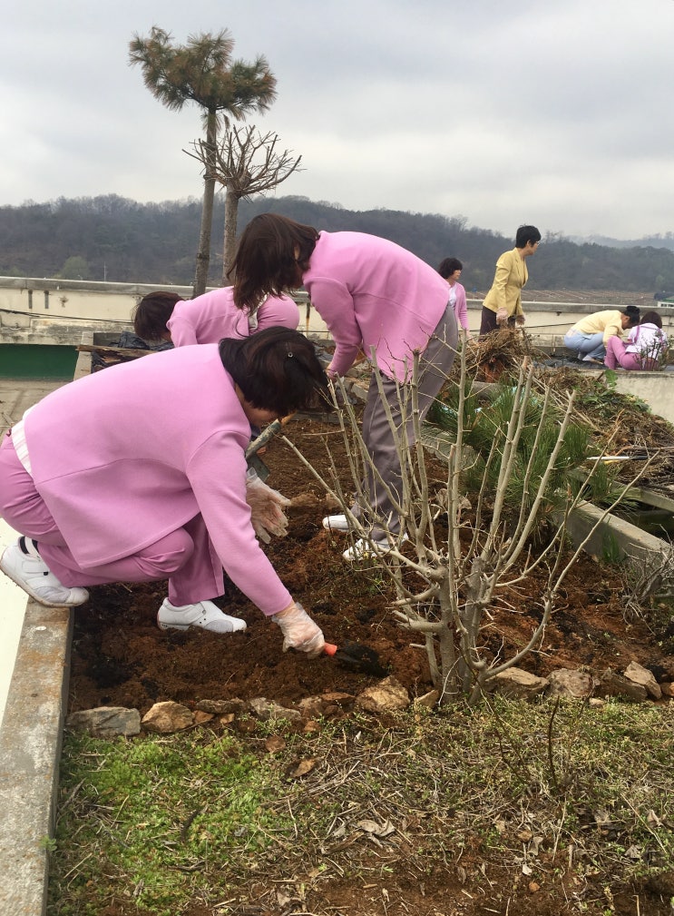  [안산요양병원/안산재활병원]식목일에 서안산노인전문병원 옥상에 텃밭꾸미기1