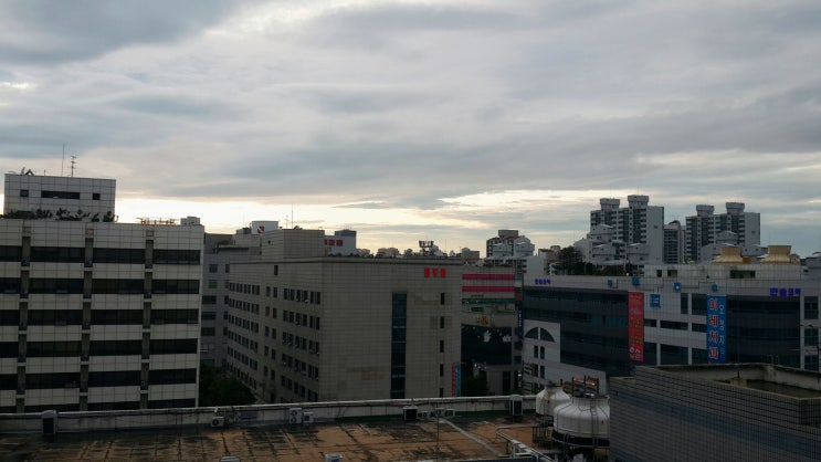  그냥찍음