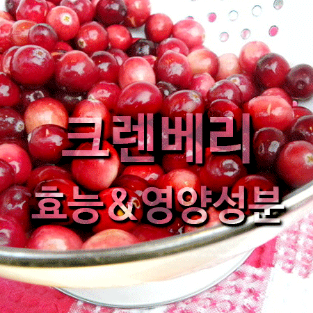  슈퍼푸드 크렌베리 효능과 영양성분 및 제품추천