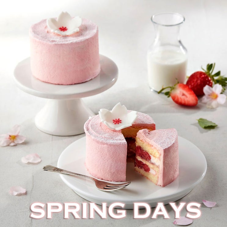 스타벅스의 봄은 핑크~ 봄날 케이크