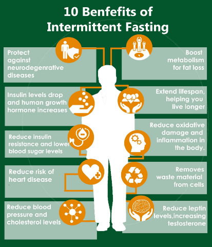 Intermittent Fasting - 간헐적 단식