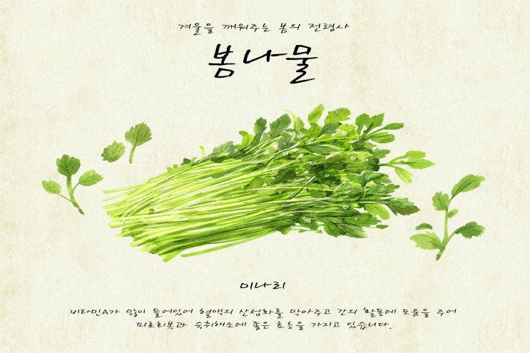  황사를 걱정하신다면 몸 안의 독소를 배출시켜주는 봄나물 미나리! 어떠세요?