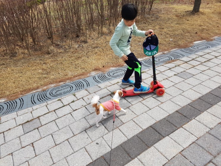  파주 운정 건강공원산책, 나눔장터 열렸네요!