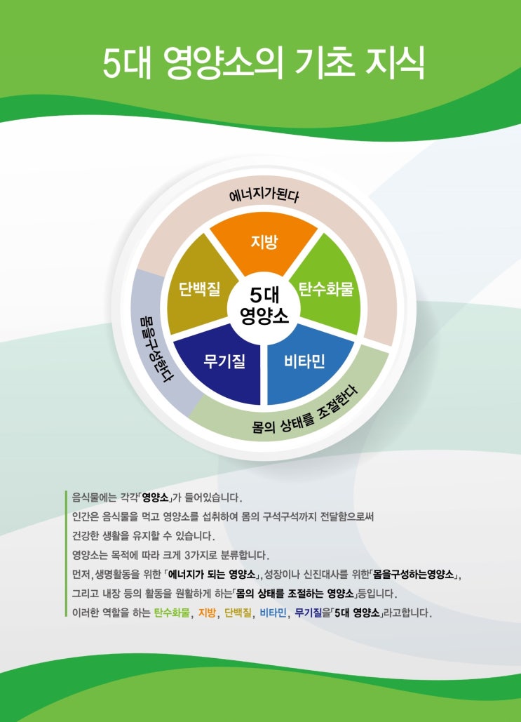 5대 영양소의 기초 지식과 5대 영양소가 필요한 이유 및 직장인을 위한 운동법 10가지 5대 영양소의 기초 지식과 5대 영양소가 필요한 이유 및 직장인을 위한 운동법 10가지