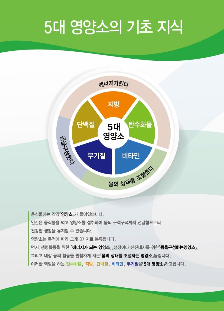 5대 영양소의 기초 지식과 5대 영양소가 필요한 이유 및 직장인을 위한 운동법 10가지