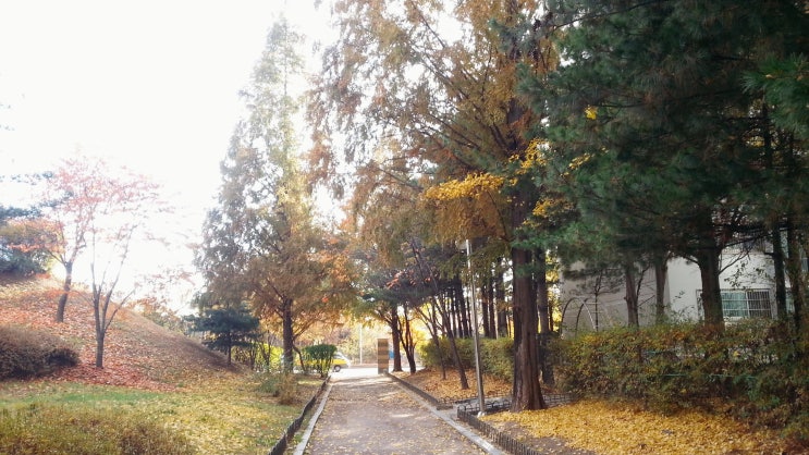  그냥찍음