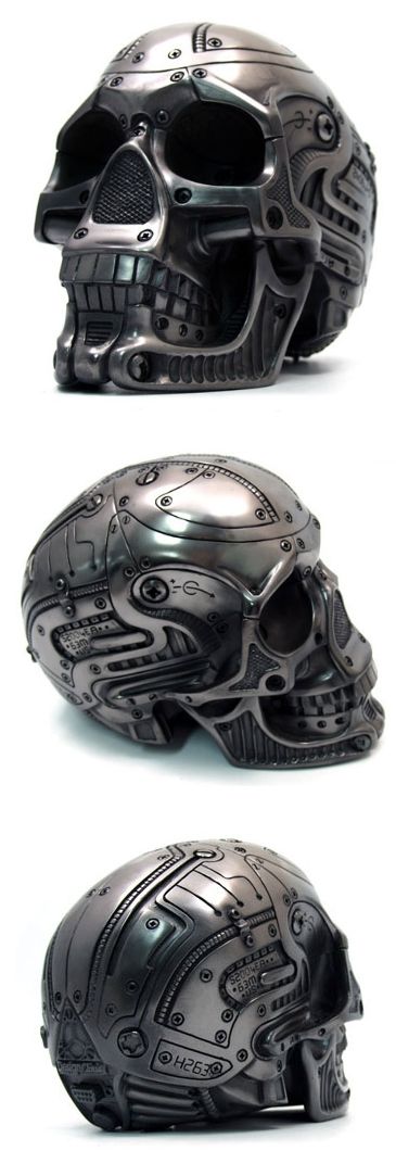 Skull Motorcycle Helmets 