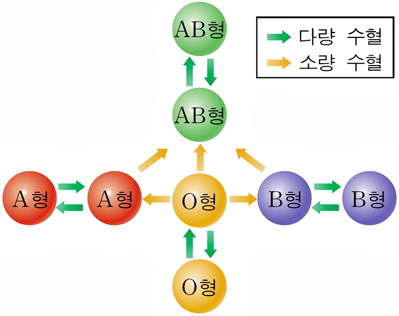 a형 b형 o형 ab형 수혈 가능 혈액형 : 네이버 블로그
