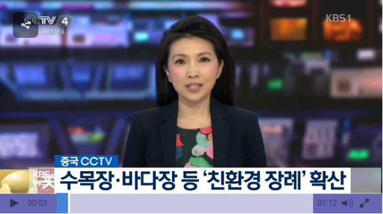 中, 수목장·바다장 등 ‘친환경 장례’ 확산 - KBS NEWS 中, 수목장·바다장 등 ‘친환경 장례’ 확산 - KBS NEWS
