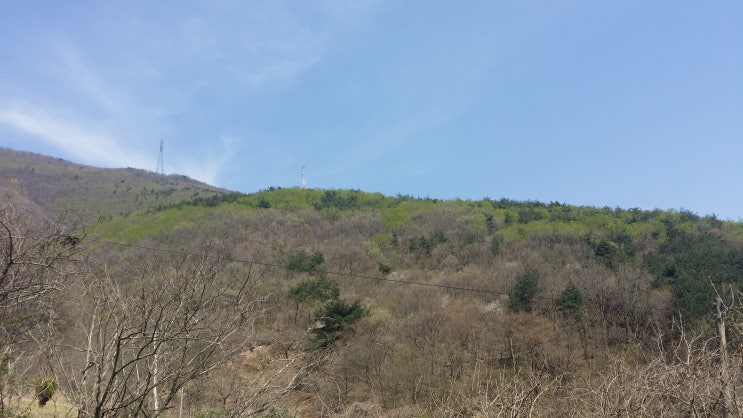  외할아버지 주말농장 - 베란다 화분 옮겨심기