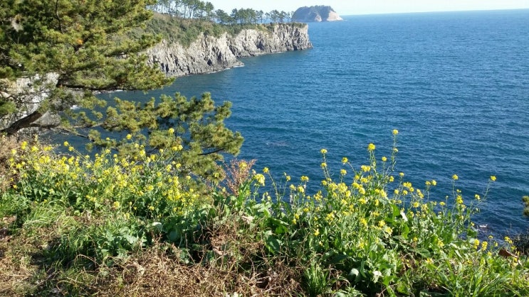  [4박 5일 대중교통 제주도 여행] 셋째날(2).