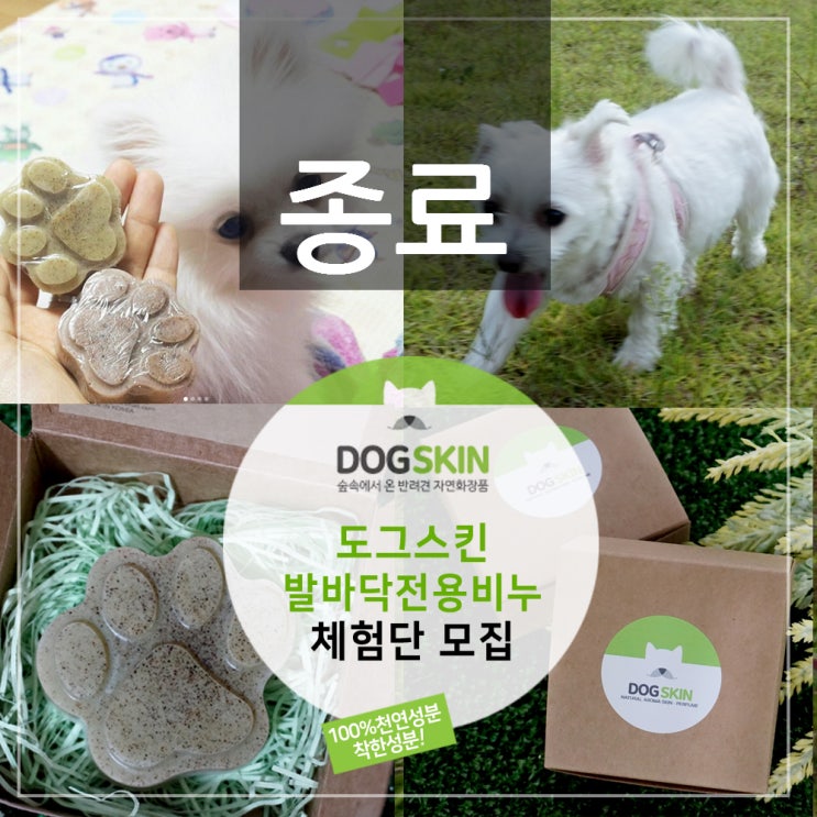  도그스킨 발바닥전용비누(천연유기농) 체험후기이벤트 1차(종료)