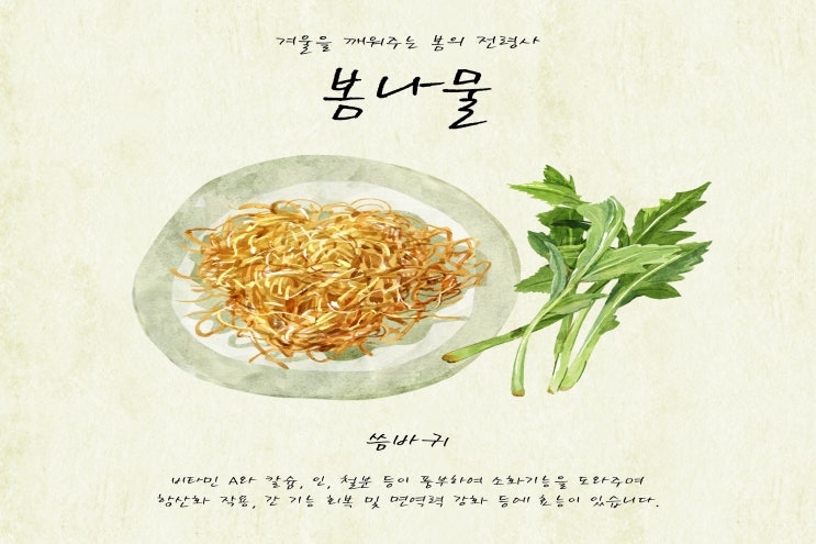  입에는 써도 몸에는 으뜸인 나물 씀바귀!