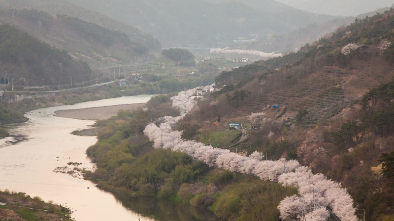섬진강 압록의 봄 : 네이버 블로그