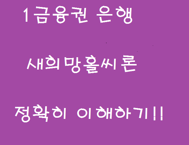  은행 새희망홀씨 , 햇살론 대환대출 정확히 알고 불법중개업체를 피하자