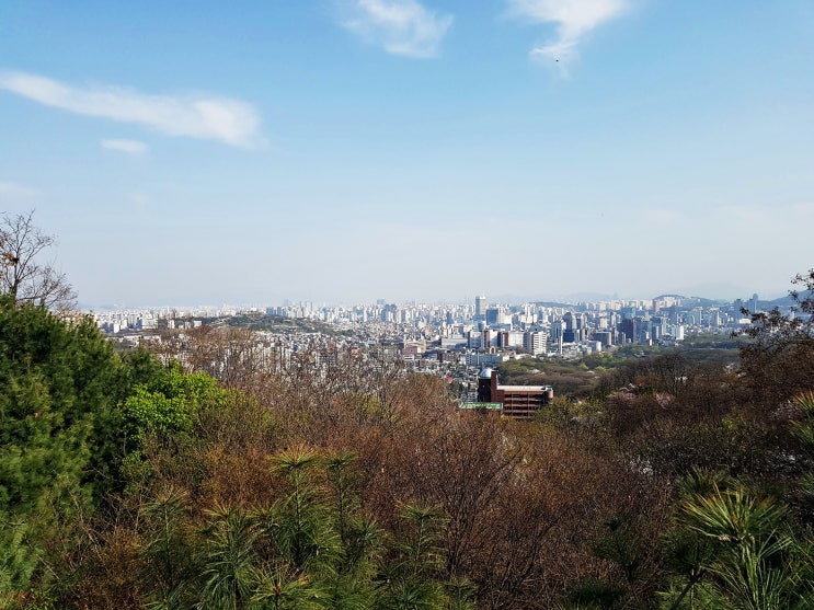 서울 종로구 명륜동 와룡공원