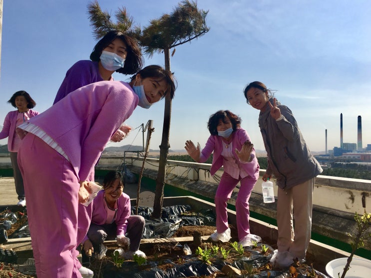  [안산요양병원/안산재활병원]서안산병원 옥상텃밭 꾸미기 프로젝트 모종심기^^