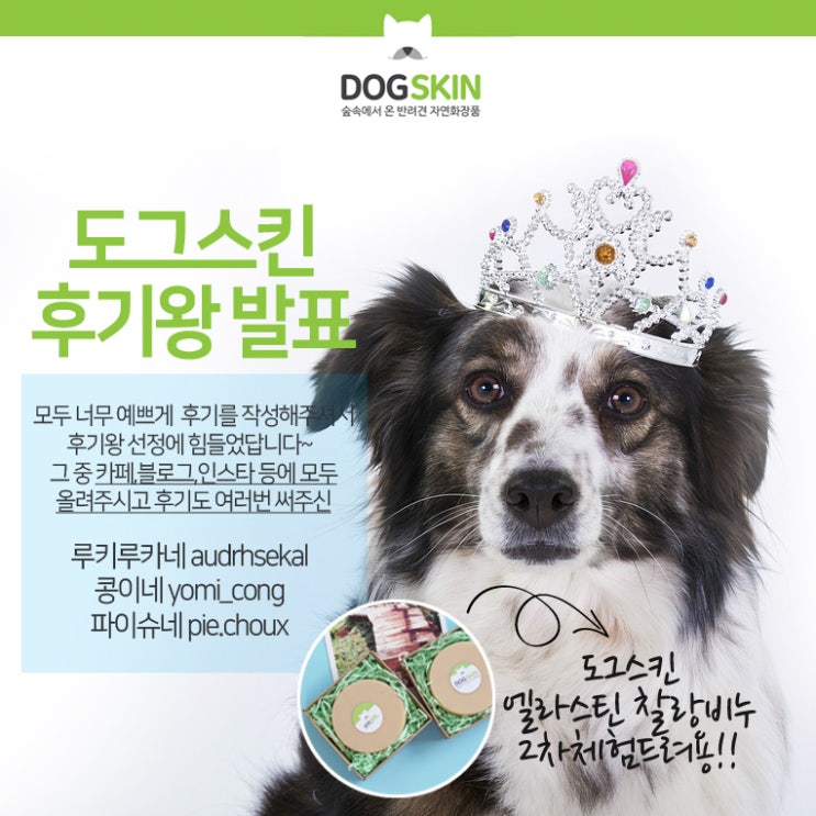  도그스킨 후기왕 발표!! 두구두구