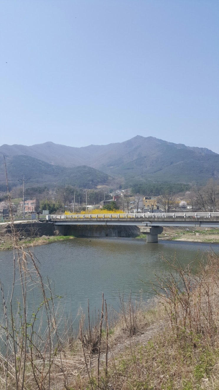  정병곤이 보여 준 것
