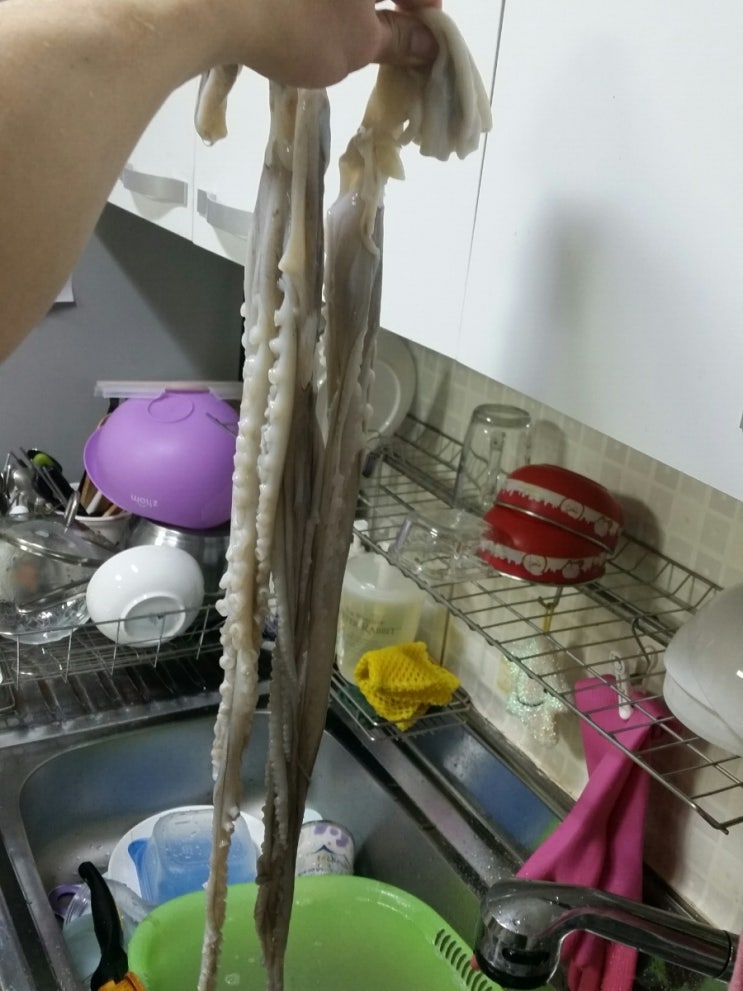  해루질 낙지 주말 아침 낙지볶음~~