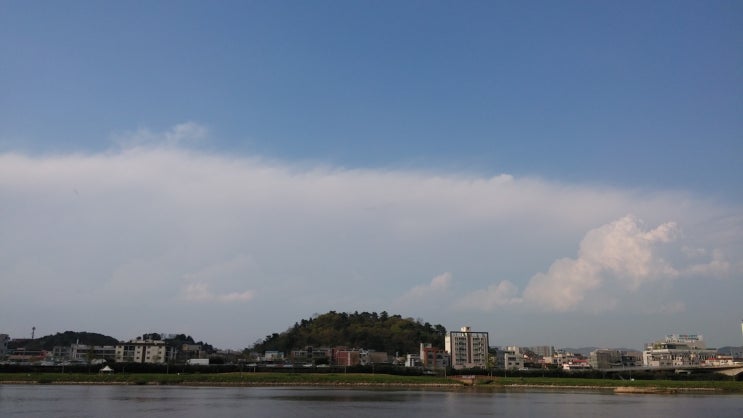 아픈 비사 울산 동백 학성공원 동백꽃 아픈 비사 울산 동백 학성공원 동백꽃