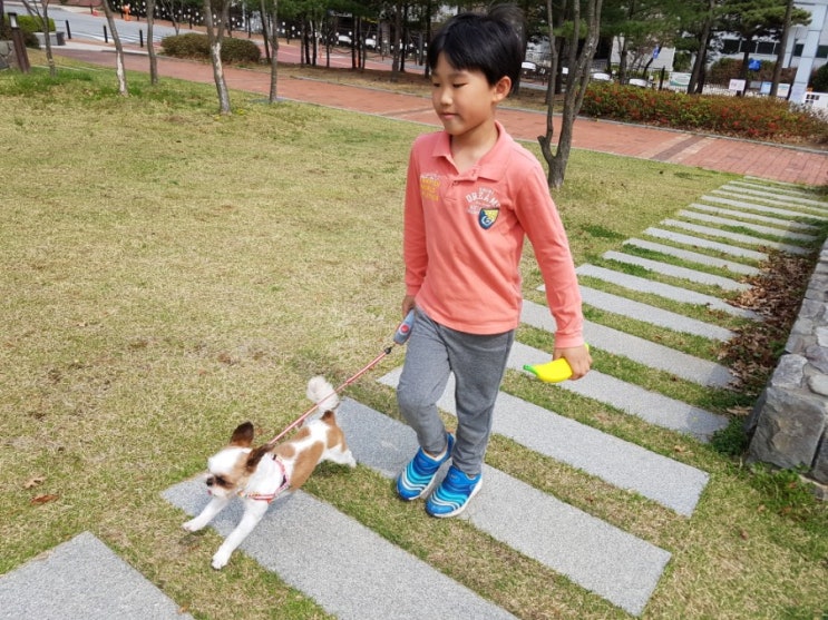  주말 일상! 산책하고 차한잔~