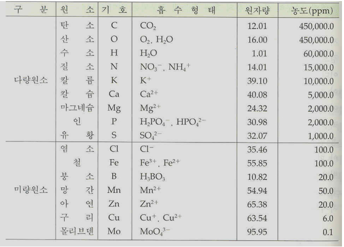  수초 키우기 - 1.식물의 이해