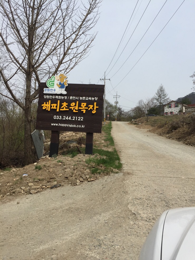 춘천-아이와가볼만한곳- 해피초원목장