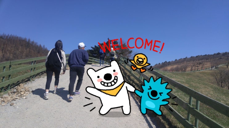  강릉시티투어 / 강릉여행 / 샤오미 차량용 공기청정기 필터 / 강릉게스트하우스 2인실 후아유