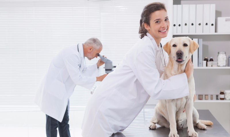 동물실험(Animal Testing)에 대해 알아보자! : 네이버 블로그
