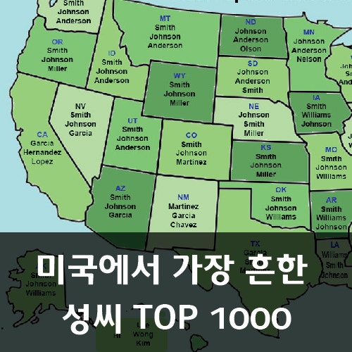 성에 대하여