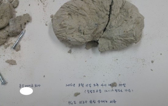  경계석 시공(일체식시공) 및 L(엘)형측구 시공에 레미콘 가수가 미치는 영향 고찰
