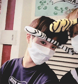 %EB%B0%95%EB%B3%B4%EA%B2%80_%EB%B7%94.gi