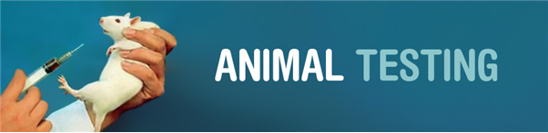 동물실험(Animal Testing)에 대해 알아보자! : 네이버 블로그