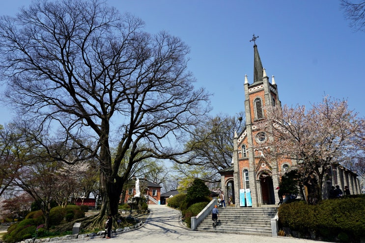 충남 아산 인주면 공세리성당