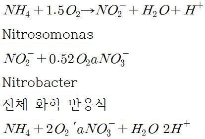 질소제거제(제로엔2070-BS, 제로엔2070-CE) / 유기탄소원(뉴트로박)에 대하여 _ 효광E&C(효광이앤씨) : 네이버 블로그
