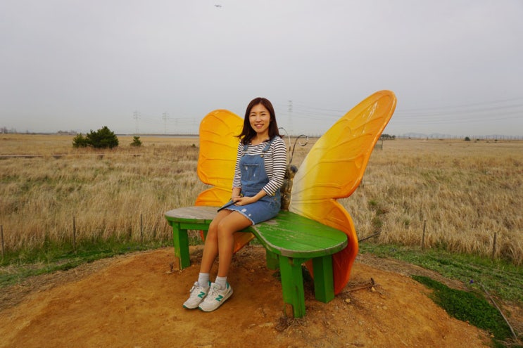 대부도 여행, 가볼만한 곳, 대부바다향기테마파크, 구봉도 해솔길 일몰