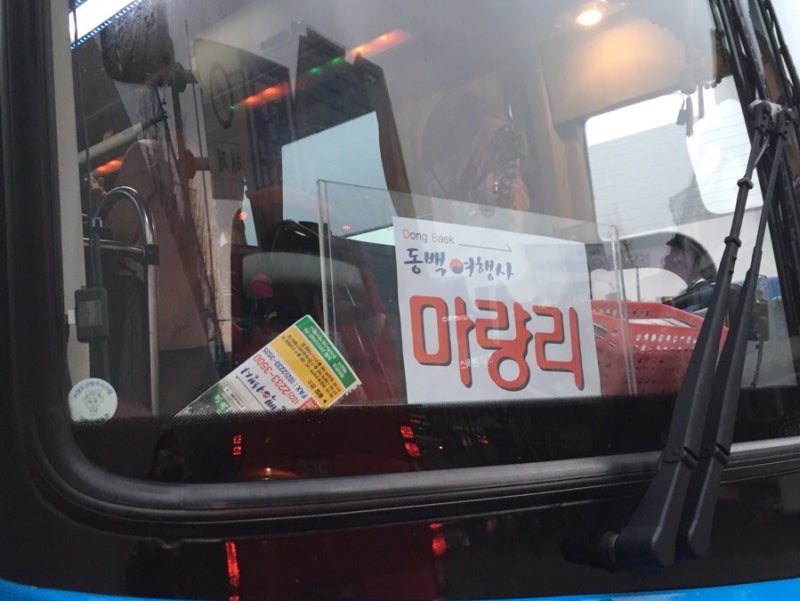 엄마랑 딸이랑 함께하는 당일치기 국내여행 1 - 마량리 동백나무숲 (동백여행사) : 네이버 블로그
