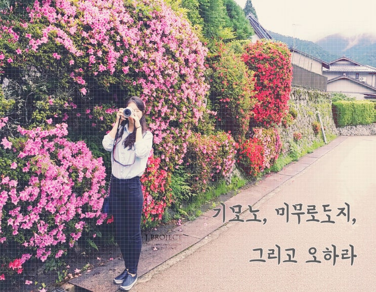  10. 결국 다V :  기모노, 미무로도지, 그리고 오하라